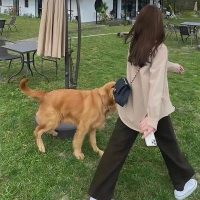 致善良的妳