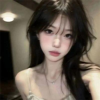 义胆骑士